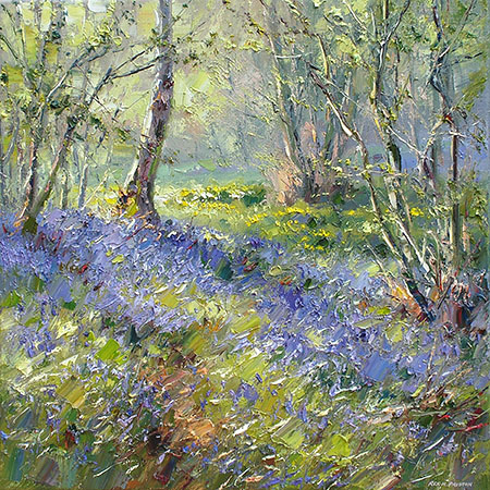 Spring Sunlight, Clough Wood